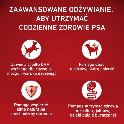 PURINA ONE MED/MAX Junior Chicken & Rice 7kg