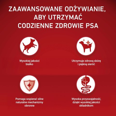 PURINA ONE MINI Dog Sensitive Salmon & Rice 1,5kg