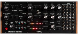 MOOG Labyrinth - Syntezator Analogowy
