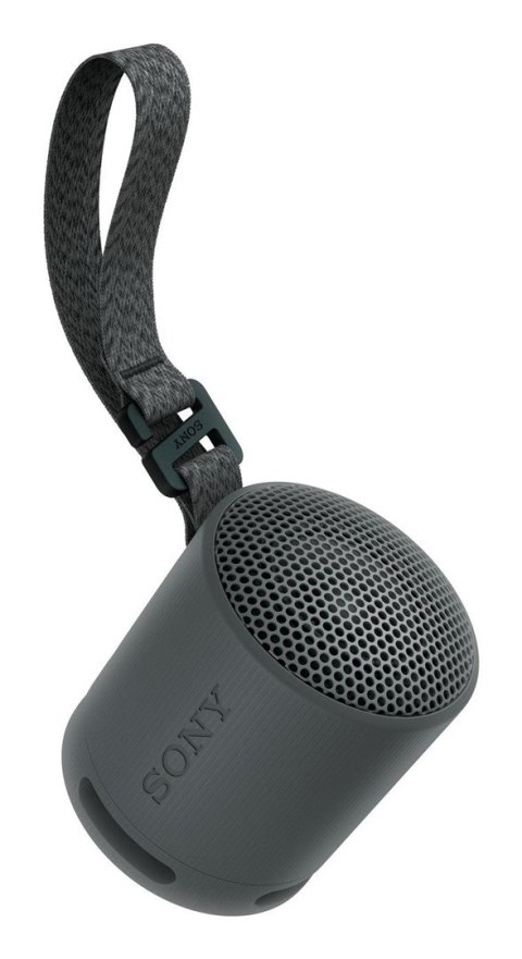 Sony SRS-XB100 Głośnik mono przenośny Czarny