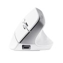 Mysz ergonomiczna TRUST Bayo+ Multidevice Wireless