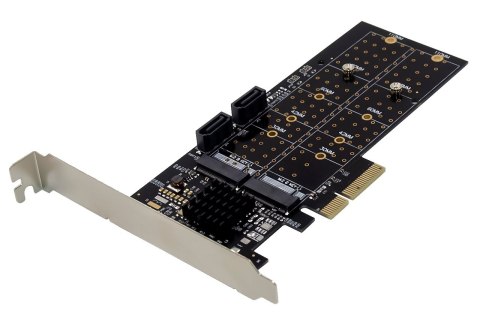 Dawicontrol DC-644E RAID BLISTER kontroler RAID PCI Express x4 2.0 6 Gbit/s