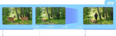 Kamera IP Ezviz EB8 PRO 4G Ranger Kit 8MP z panelem słonecznym 8W 4G Wi-Fi moro