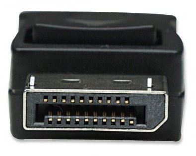 MANHATTAN Display Port - Display Port 2 m 2m /s