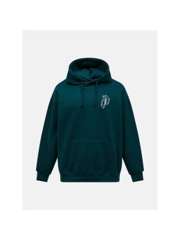 Bluza mÄ™ska PEAK PERFORMANCE M Terry Graphic Hood kolor zielony - L