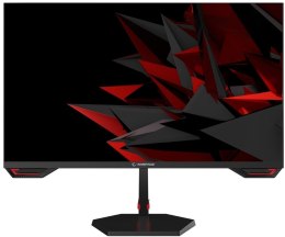 Monitor 24,5