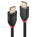 Lindy 41081 kabel DisplayPort 20 m Czarny