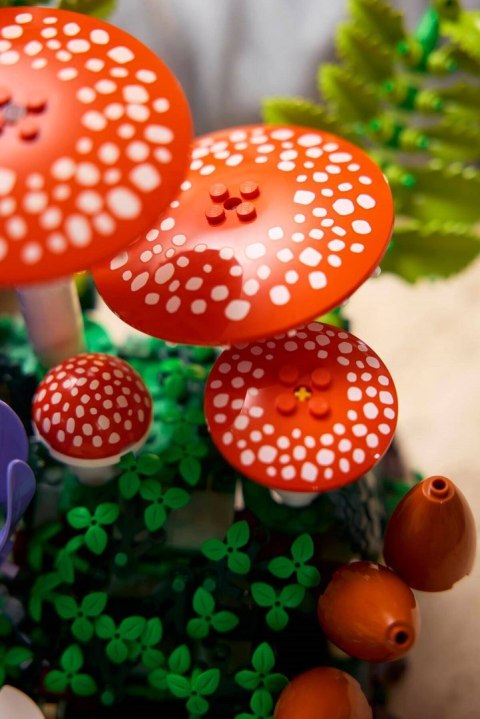 LEGO Botanical Collection 11505 - Grzyby leśne