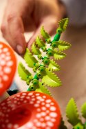 LEGO Botanical Collection 11505 - Grzyby leśne