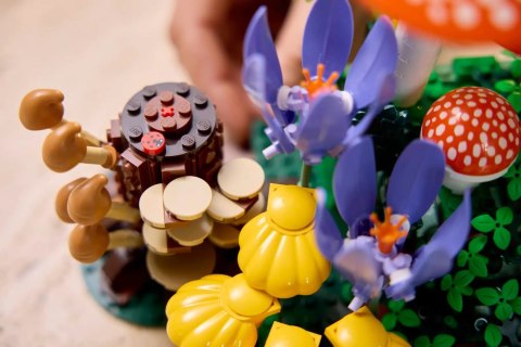 LEGO Botanical Collection 11505 - Grzyby leśne