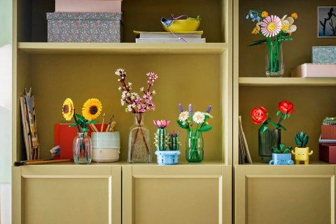 LEGO Botanicals 11508 - Stokrotki