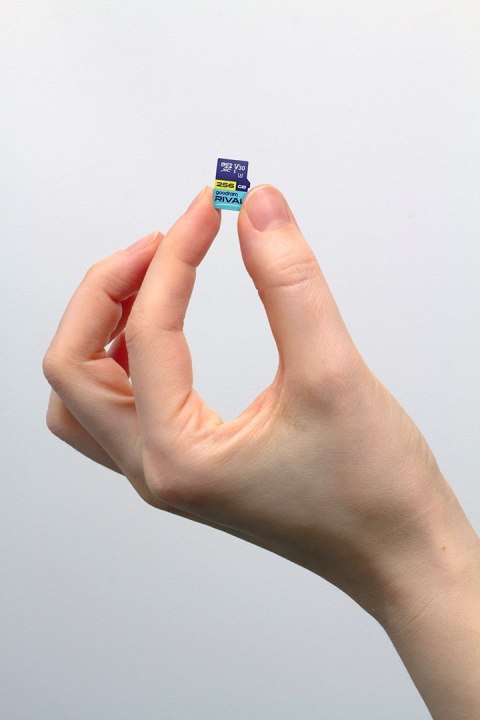 GOODRAM microSDXC 256GB V30 UHS I U3 RIVAL + adapter