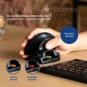 Ergonomiczna mysz R-Go Ambidextrous Twis