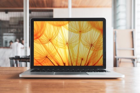 3M Bright Screen Filter Prywatności na ekran
