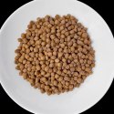 VET RESPONSE RENAL karma dla psa 8 kg