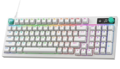 G316 X 98 - WHITE - (US) INTL
