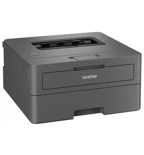 Drukarka Brother HL-L2402D