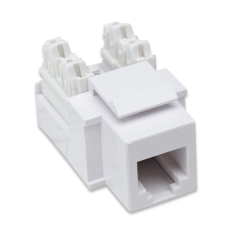 INTELLINET Moduł keystone RJ11/12 białe 502795