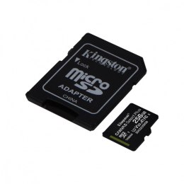 Karta pamięci microSD 256GB Canvas Select Plus 100/85MB/s Adapter