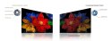 Telewizor TCL 43S59K QLED 43" Full HD Android TV Dolby Digital Plus DVB-T2 Metaliczny