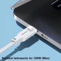 USAMS Kabel USB-C na USB-C PD Fast Charging 1,2m 100W Lithe Series zielony/green SJ567USB04 (US-SJ567)