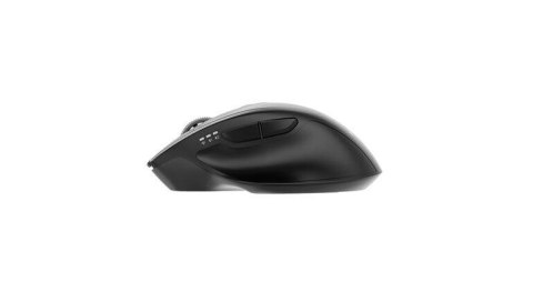 Mysz Gembird MUSW2-6B-02