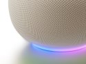 Google Home Speaker