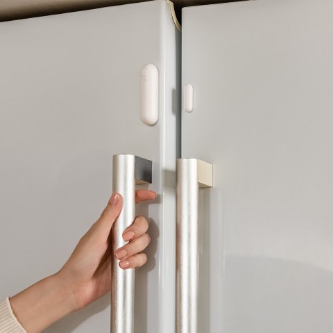 Door and Window Sensor P2 (DW-S02D)