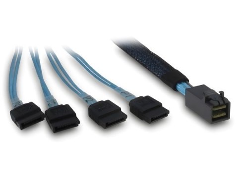 Inter-Tech SFF-8643 - 4x SATA/SAS 0,7 m 12 Gbit/s Niebieski