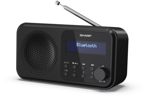 Radio przenośne Sharp DR-P420 Czarne