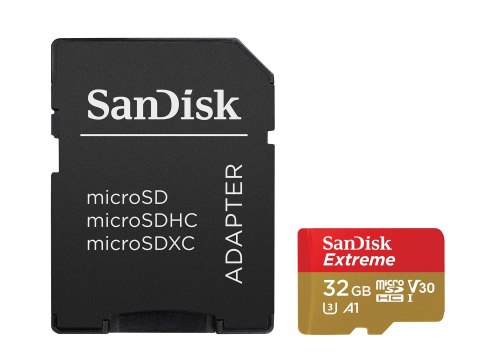Sandisk microSDHC Action