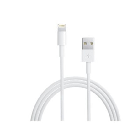 Lightning to USB Cable (0.5 m)
