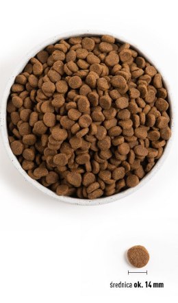 ORIJEN Senior 6kg - sucha karma dla psa