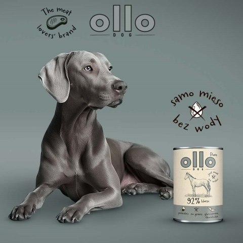 Ollo Pure Koń 400g