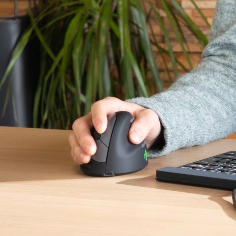 Mysz R-Go HE Mouse