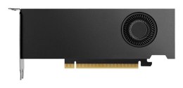 NVIDIA RTX 2000 Ada Generation - Karta graficzna - PCI-Express
