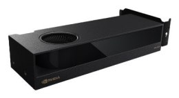 NVIDIA RTX 2000 Ada Generation - Karta graficzna - PCI-Express