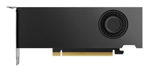 NVIDIA RTX 2000 Ada Generation - Karta graficzna - PCI-Express