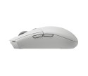 Logitech G G305 X SUPERLIGHT myszka Gaming Dla praworęcznych RF Wireless + Bluetooth Optyczny 44000 DPI