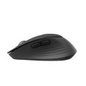 Logitech Signature Comfort Plus M850 L myszka Uniwersalne Dla praworęcznych RF Wireless + Bluetooth Optyczny 4000 DPI