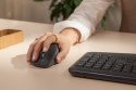 Logitech Signature Comfort Plus M850 L myszka Uniwersalne Dla praworęcznych RF Wireless + Bluetooth Optyczny 4000 DPI