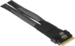Inter-Tech SFF-8654 8i - 2x SFF-8643 24 Gbit/s Czarny