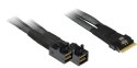 Inter-Tech SFF-8654 8i - 2x SFF-8643 24 Gbit/s Czarny