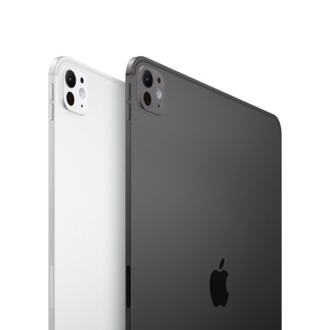 Apple iPad Pro 13" WIFI 256GB SpaceSchwarz (8.Gen.) iOS