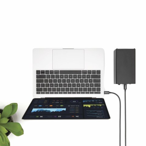 StarTech.com TBLT3MM2M kabel Thunderbolt 2 m 20 Gbit/s Czarny