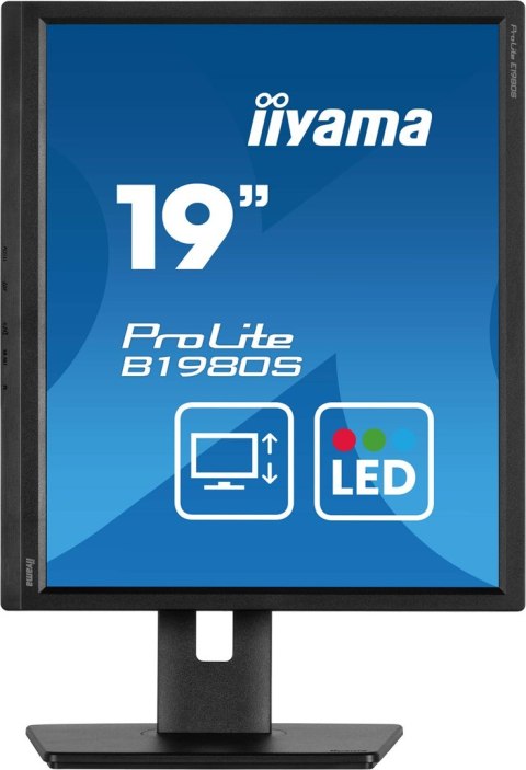 Monitor iiyama B1980S-B1 19 cali panel TN 1280x1024 250cd/m2 HDMI DP