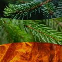 Świeca elipsa FRASER FIR WOODWICK