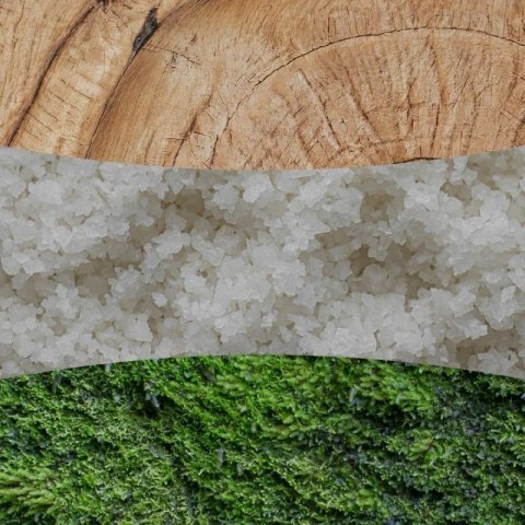 Świeca elipsa WHITE TEAK WOODWICK