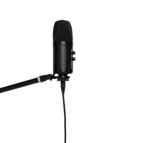 Stagg SUSM60D - mikrofon pojemnościowy USB
