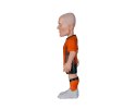 MINIX WC LEGENDS NETHERLANDS - ARJEN ROBBERN